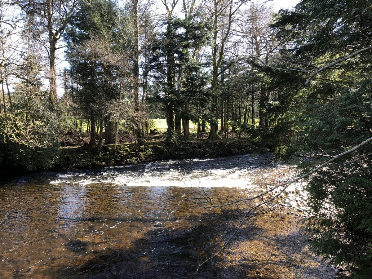 Pucks Glen Lodges, Rashfield, By Dunoon Εξωτερικό φωτογραφία